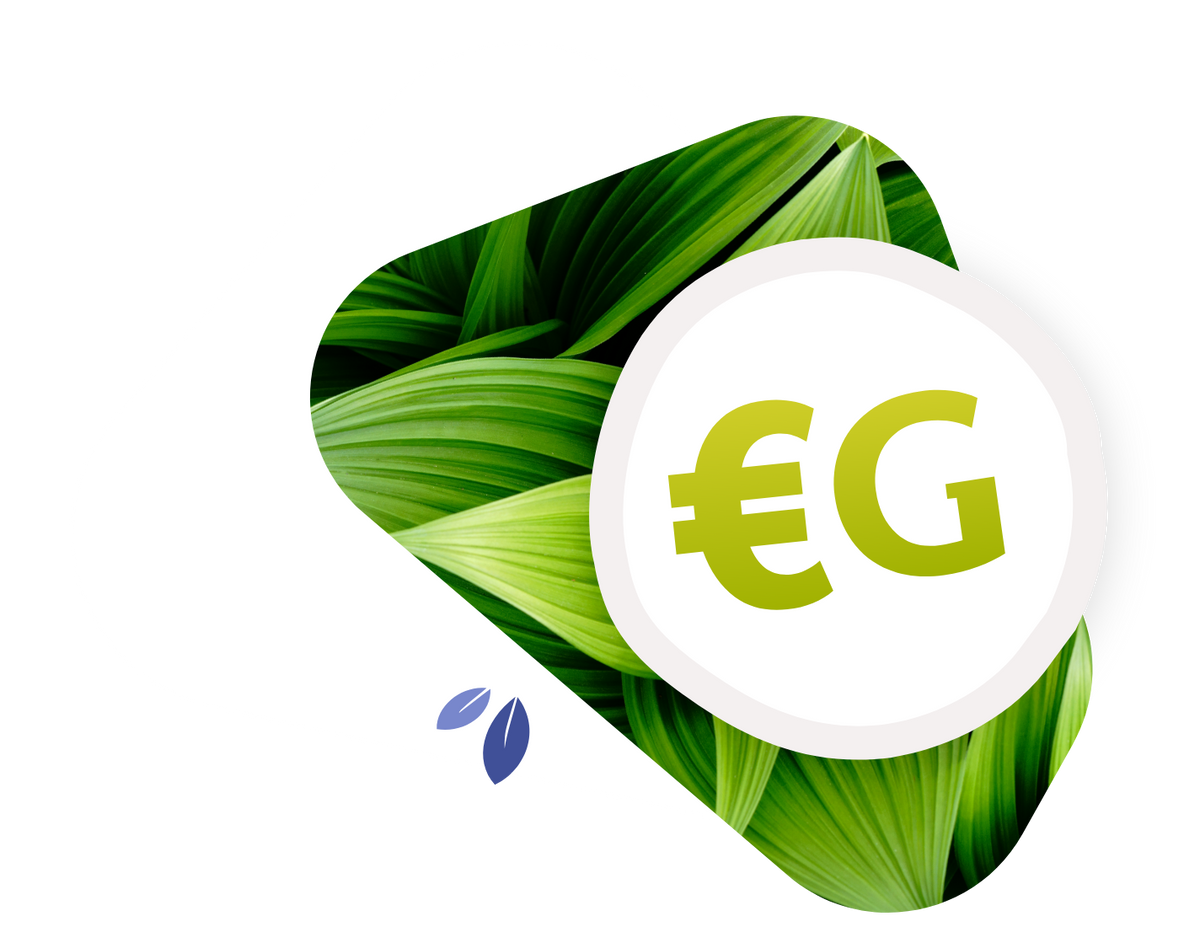 Compte CO2 - Euro Verts Illustration